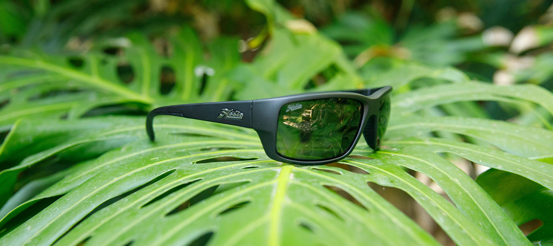 Snook | Polarized Sunglass - Hobie® Eyewear