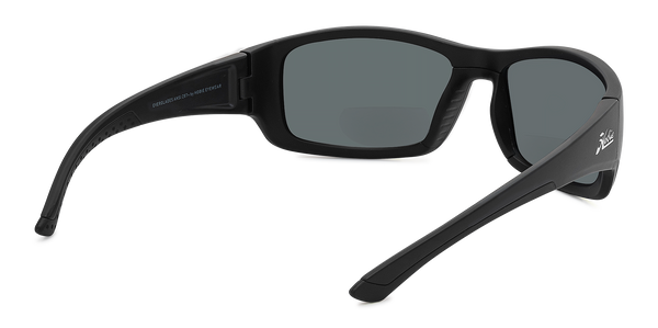 Everglades ANSI Reader