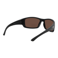Everglades ANSI Reader