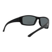 Everglades ANSI Reader