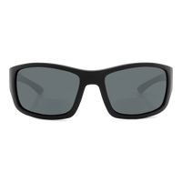 Everglades ANSI Reader