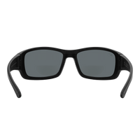Everglades ANSI Reader