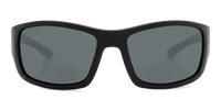 Everglades ANSI Reader
