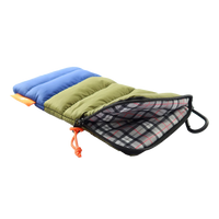 Pioneer